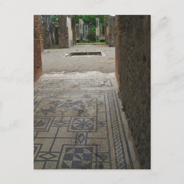 Pompeii Mosaic Floor Postcard (Front)