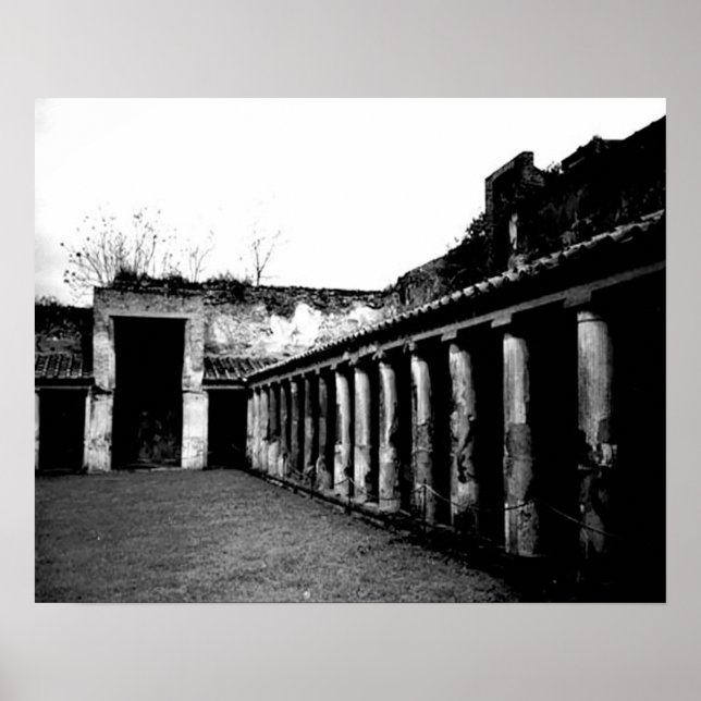 Pompeii Poster (Front)