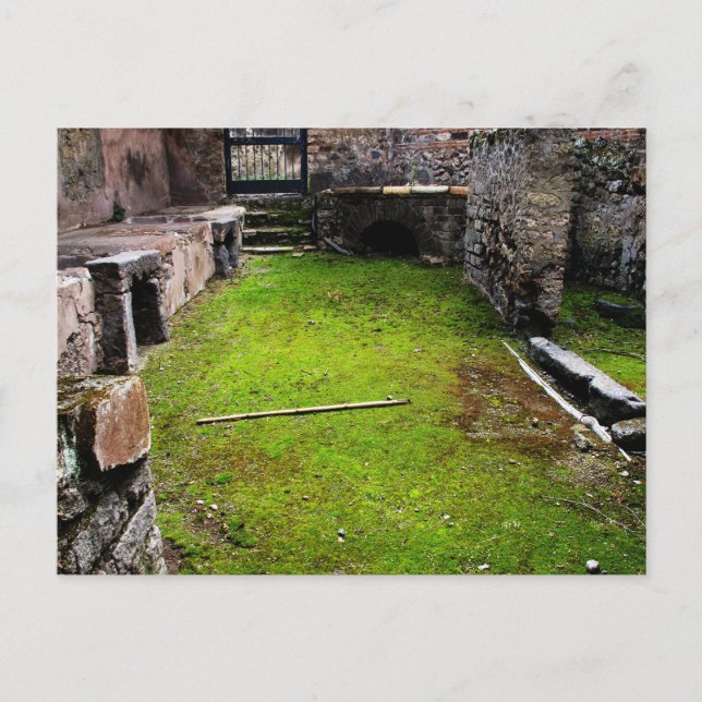 Pompeii - Ruins of a House Postcard (Front)