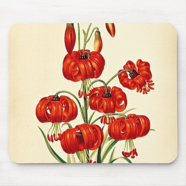 Pompone Red Lily Vintage Botanical Mouse Mat (Front)