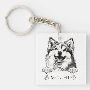 Pomsky Dog Hand Drawing Personalised Key Ring