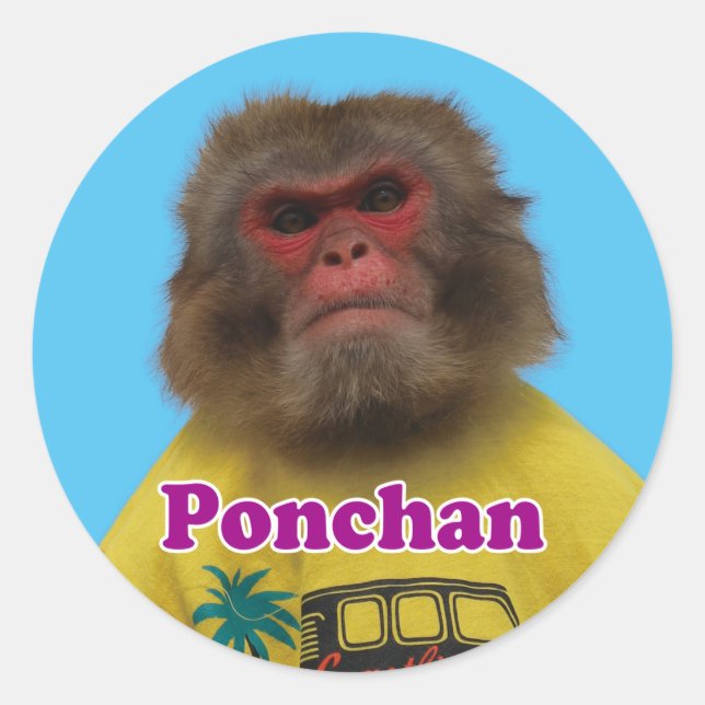 Ponchan sticker.　ぽんちゃんシール classic round sticker (Front)