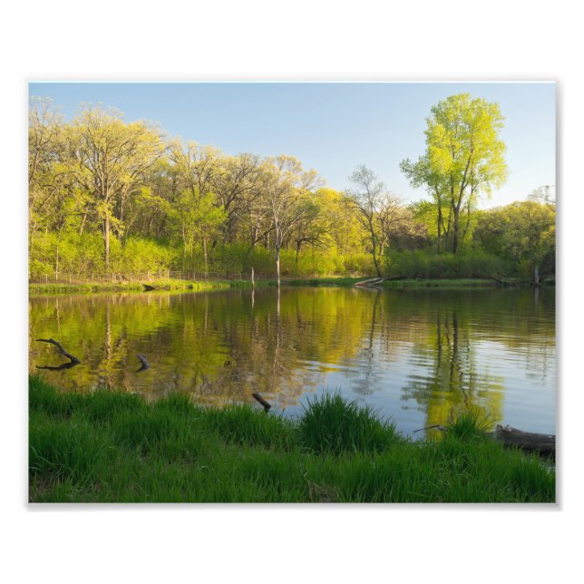 Pond and Lush Forest of Battle Creek Park Photo Print (Front)