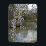 Pond at RHS Wisley, England Magnet<br><div class="desc">Photograph of a pond at RHS Wisley Gardens England beautiful tree over the pond with a duck in the water.</div>