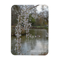 Pond at RHS Wisley, England