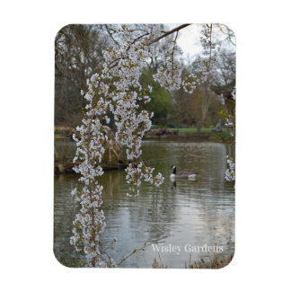 Pond at RHS Wisley, England Magnet