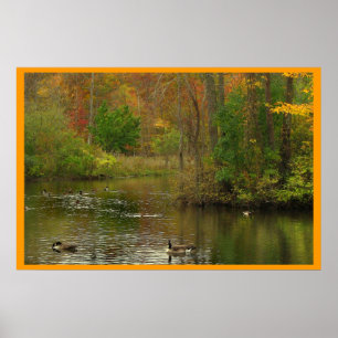 Pond at Sapsucker Woods Poster