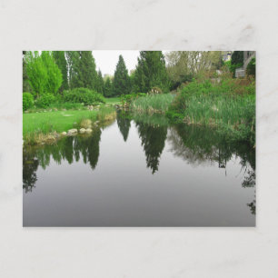 Pond at Vancouver, BC Postcard