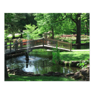 Pond Bridge Photo Print