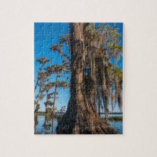 Pond Cypress Tree in a Swamp Jigsaw Puzzle