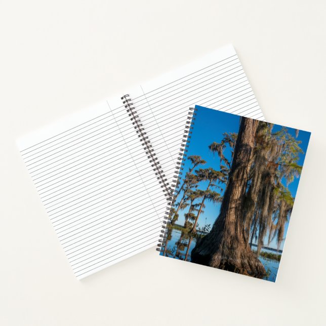 Pond Cypress Tree in a Swamp Notebook (Inside)