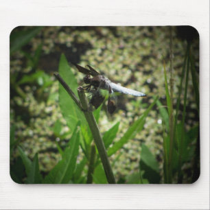 Pond Dragon Mouse Mat