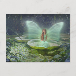 Pond Fairy Postcard