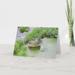 Pond Frog Card