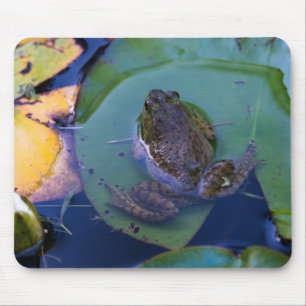 Pond Frog Mouse Mat