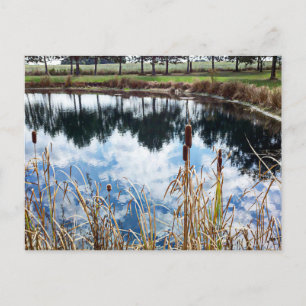Pond Landscape Nature Photography Art Postcard