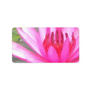 Pond Lotus Tranquillity Namaste Blank Address Label