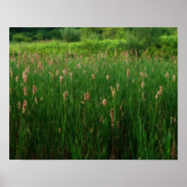 Pond Of Fluffy Cattails Orton Effect Art Poster (Front)
