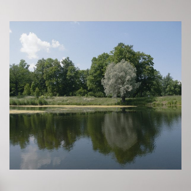 Pond Poster (Front)