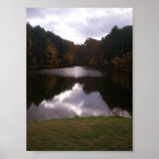 Pond Poster