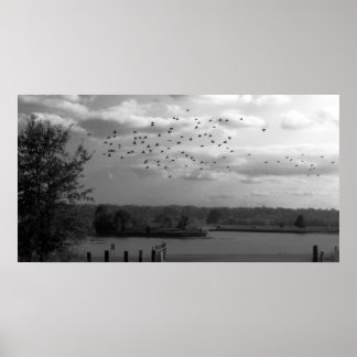Pond Poster