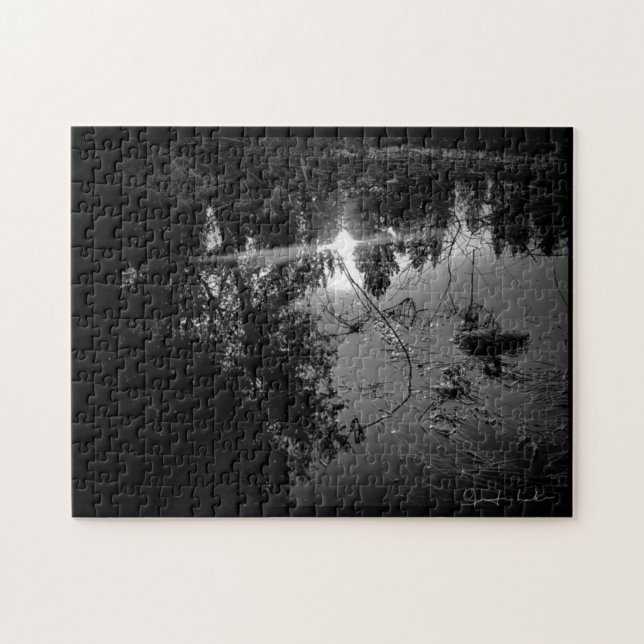 Pond Puzzle (Horizontal)