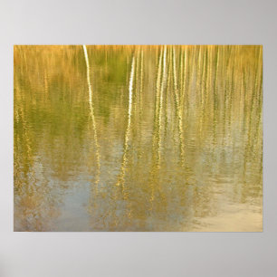 Pond Reflections Poster