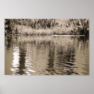 Pond Sepia Photograph Poster