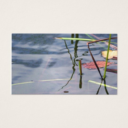 Pond Services Business Card