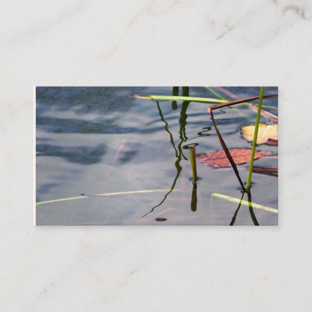 Pond Services Business Card (Front)