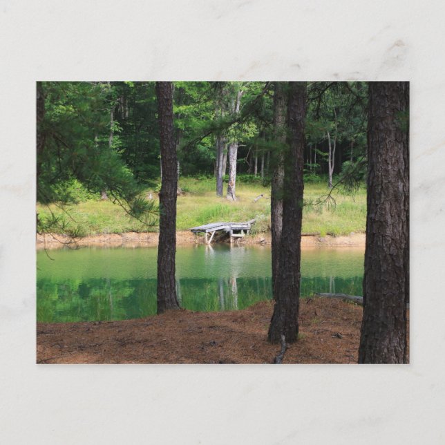 Pond Side Dock Postcard (Front)