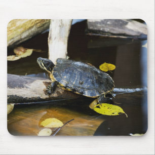 Pond slider turtle in the wild mouse mat