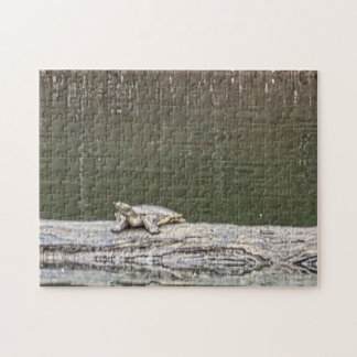 Pond Turtle Jigsaw Puzzle