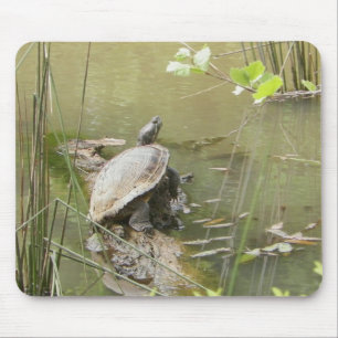 Pond Turtle Mouse Mat