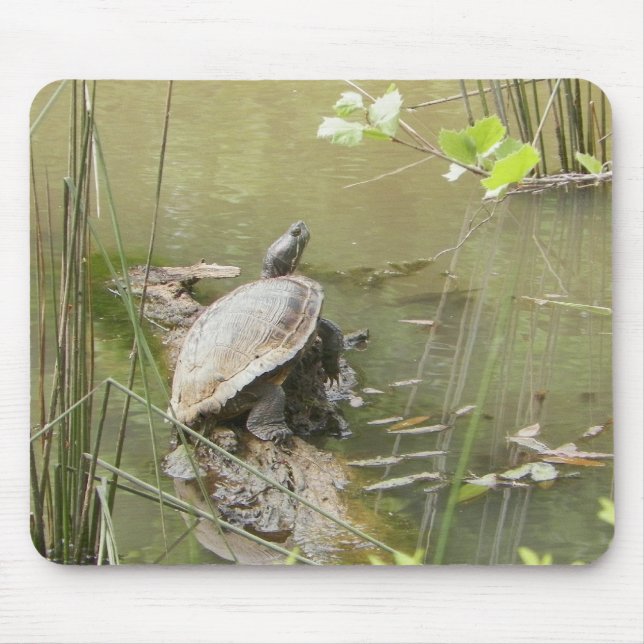Pond Turtle Mouse Mat (Front)