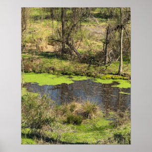 Pond Waterscape Photo Poster