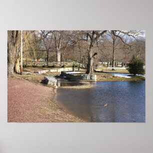 Pond Waterscape Poster