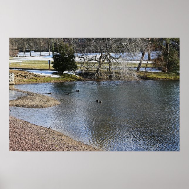 Pond Waterscape Poster (Front)