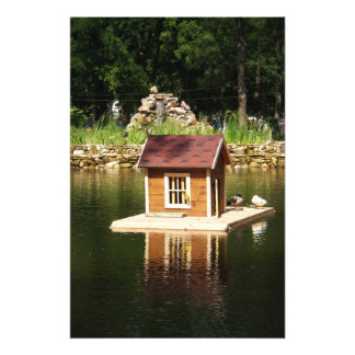 Pond with bird house photo print