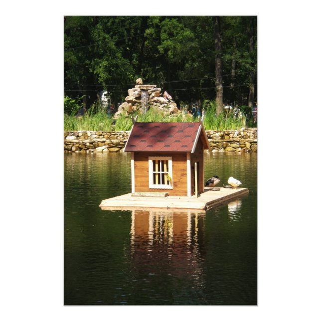 Pond with bird house photo print (Front)