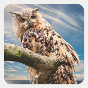 Pondering Owl Square Sticker