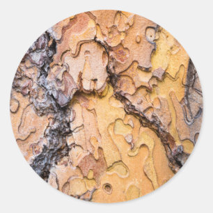 Ponderosa pine bark, Washington Classic Round Sticker
