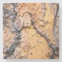 Ponderosa pine bark, Washington
