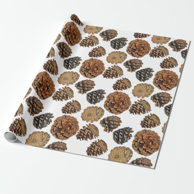 Ponderosa Pine Cone Wrapping Paper (Unrolled)
