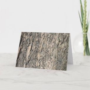 Ponderosa Pine Tree Bark - Kitsap Memorial Park Card
