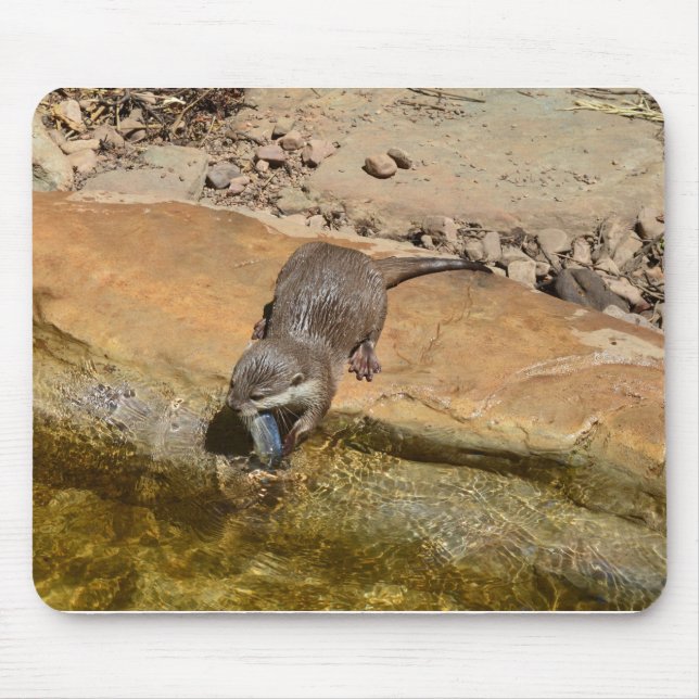 **"Pondside Feast: An Otter and His Catch"** Mouse Mat (Front)
