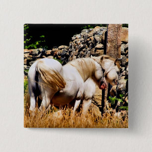 PONIES 15 CM SQUARE BADGE