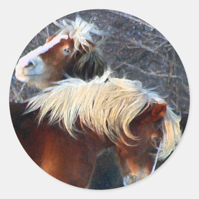 ponies classic round sticker (Front)