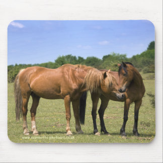 Ponies in Love Mousemat