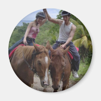 ponies magnet
